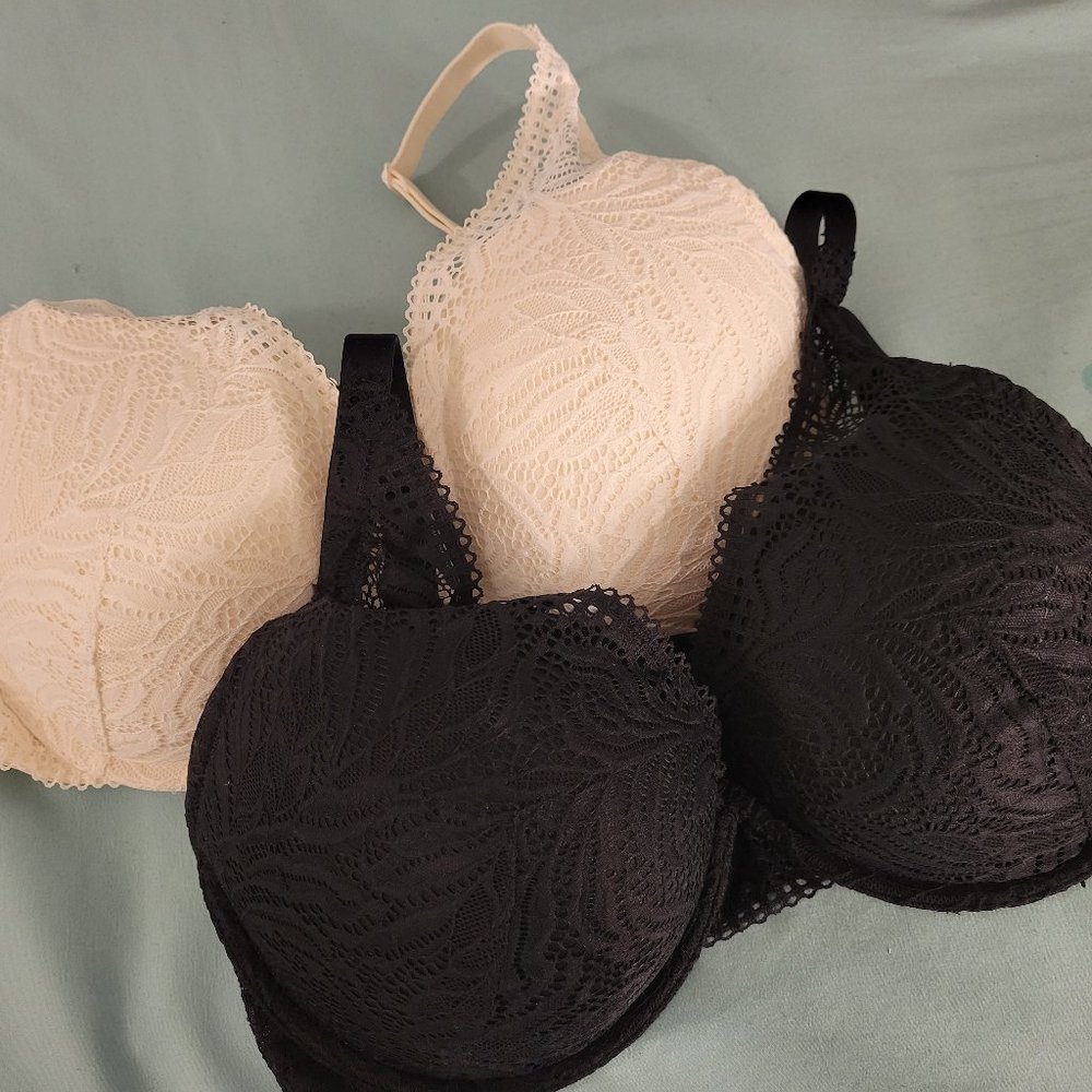 36DD Auden